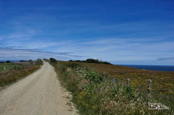 Estrada rural no noroeste da ilha de Chiloé, no sul do Chile